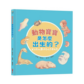 動物寶寶是怎麼出生的?